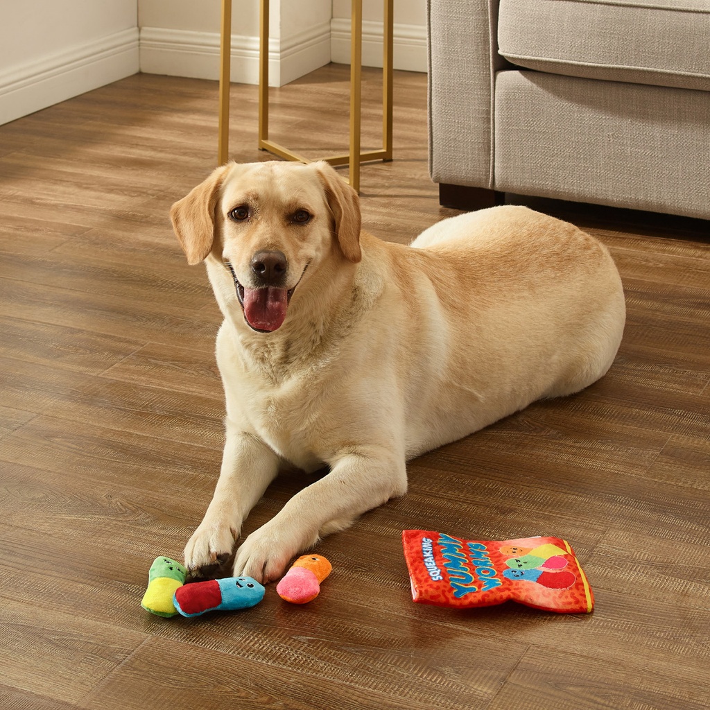 OUTWARD HOUND Snack Bag Puzzle Yummy Worms