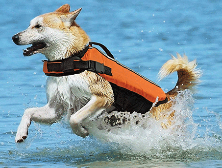 FASHION PET Life Jacket Orange S