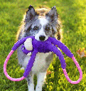 ZIPPYPAWS RopeTugz Monkey Purple