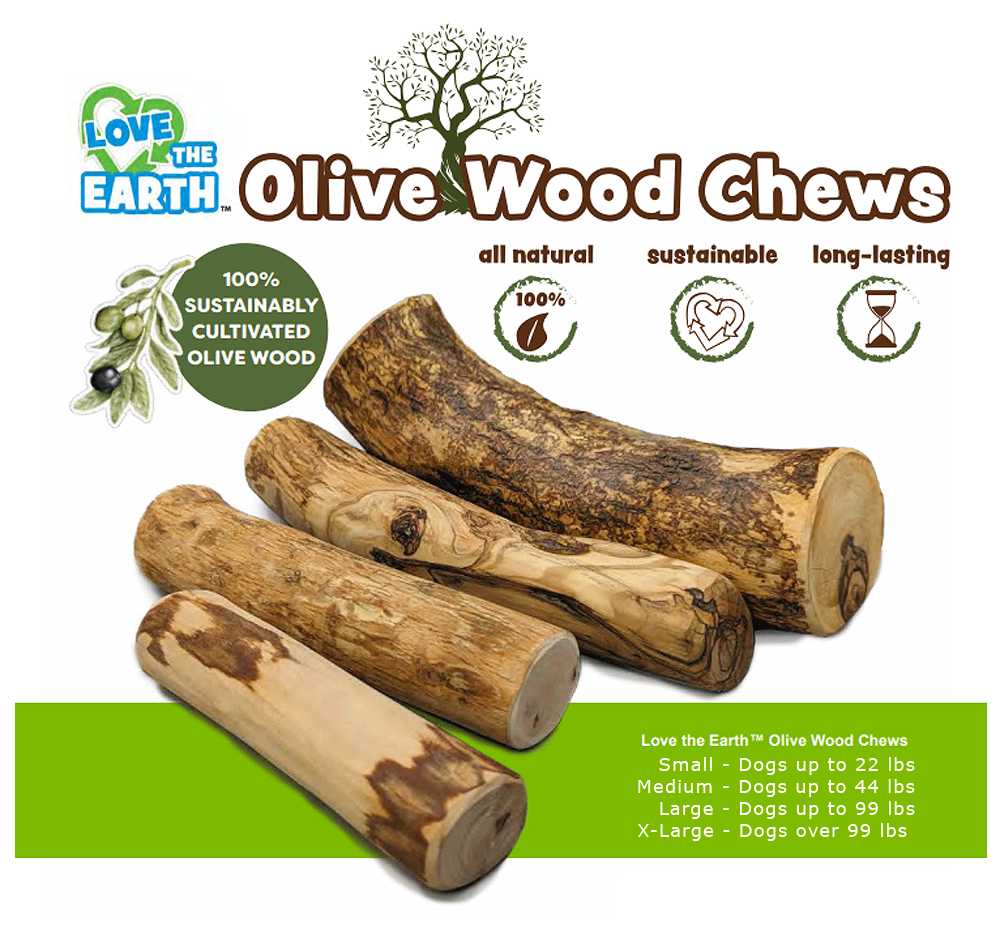 ETHICAL/SPOT Love The Earth Olive Wood Dog Chew Display 31pc