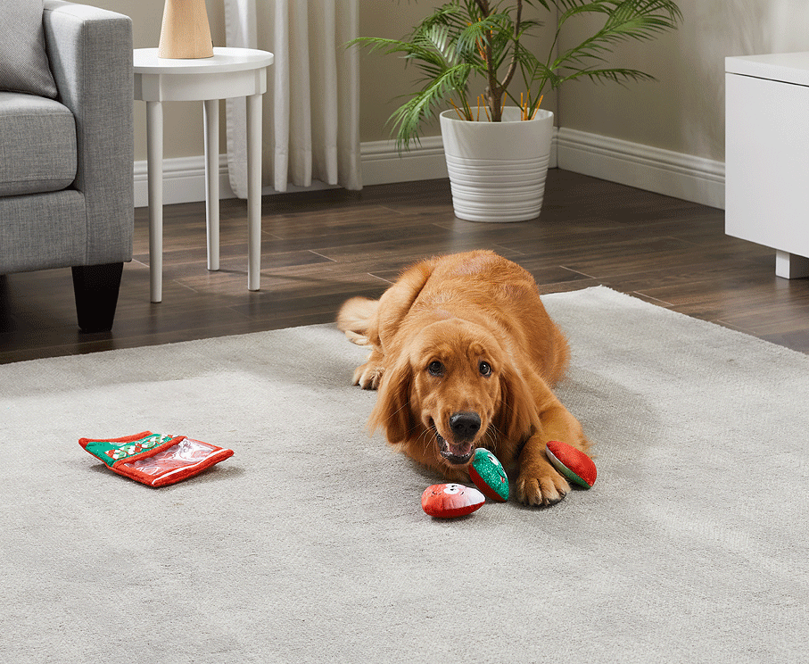 OUTWARD HOUND Holiday Snack Bag Gum Drops