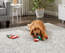 OUTWARD HOUND Holiday Snack Bag Gum Drops