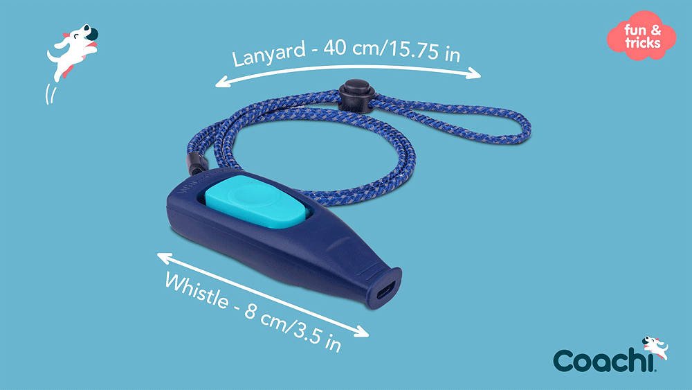 COACHI Whizzclick Navy Blue