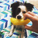 SPUNKY PUP Banana