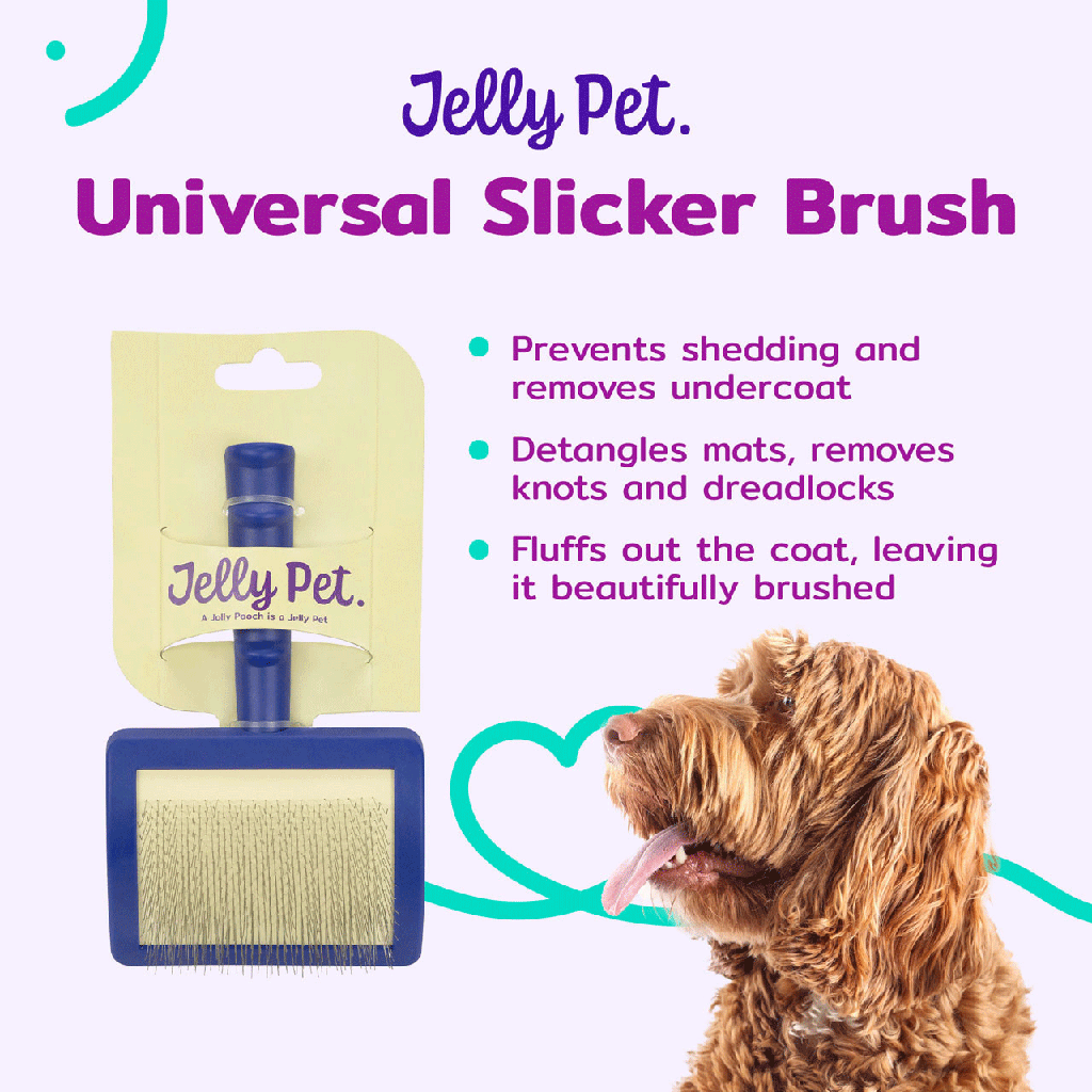 JELLY PET Slicker Brush Soft Small