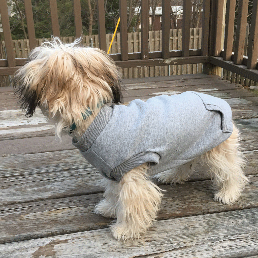 FASHION PET Dog Sweatshirt Gray M