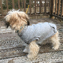 FASHION PET Dog Sweatshirt Gray L