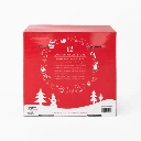 HOLIDAY Advent Calendar 12pc