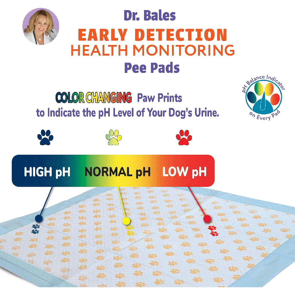 DR. BALES Health Monitoring Pee Pads 50pk