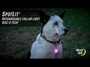 NITE IZE SpotLit Collar Light Rechargeable Disc-O Select Jewel