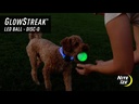 NITE IZE GlowStreak Wild LED Ball-Disc-O