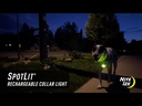 NITE IZE SpotLit Collar Light Rechargeable Green