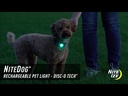 NITE IZE NiteDog Rechargeable Pet Light Disc-O Tech