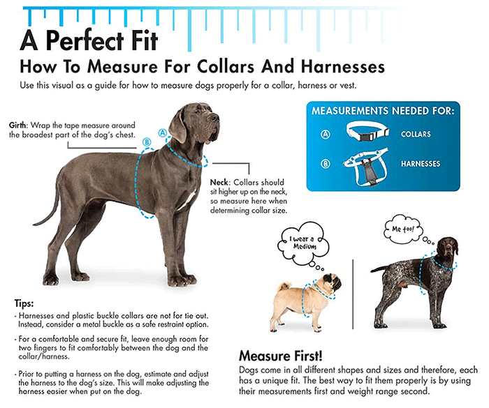 COASTAL Comfort Wrap Harness 3/4 x 20-30 Teal