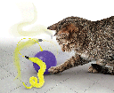 KONG Purrsuit Whirlwind Cat Toy