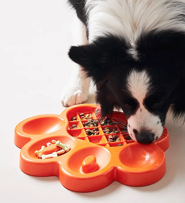 PetDreamHouse PAW Slow Feeder Orange