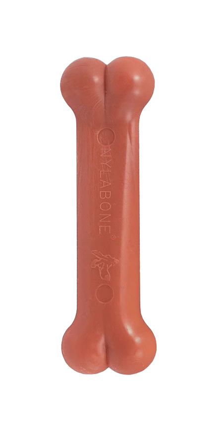 NYLABONE DuraChew Bacon Bone Petite