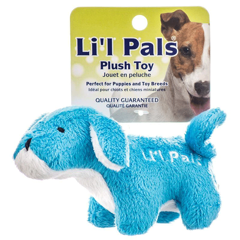 COASTAL Li'l Pals Plush Toy - Dog