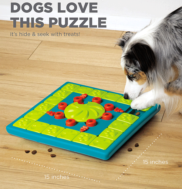 OUTWARD HOUND MultiPuzzle Dog Treat Puzzle Toy Blue