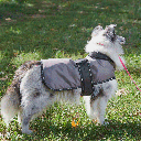 *OUTDOOR DOG Arctic Coat Grey XS