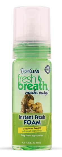 TROPICLEAN FreshBreath Fresh Mint Foam - 4.5oz