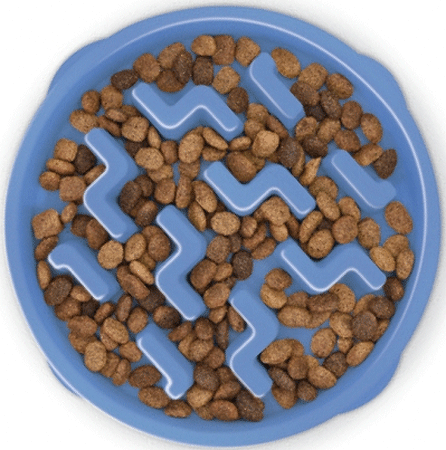 OUTWARD HOUND Fun Feeder Slo-Bowl Blue M