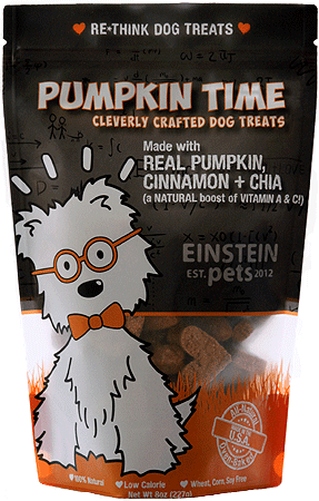 EINSTEIN PETS Pumpkin Time 8oz