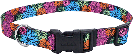 PET ATTIRE Styles Adjustable Collar 3/8 x 8-12 Wild Flower