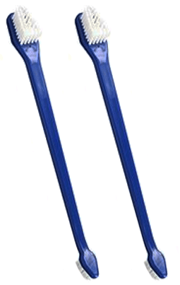 *BLUESTEM Dental Toothbrushes 2pk