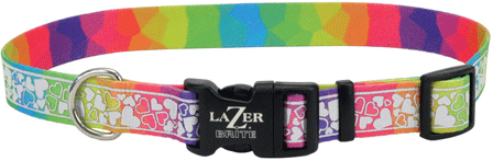 *COASTAL LazerBrite Patterned Collar 3/8 x 8-12" Rainbow Hearts