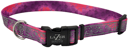 *COASTAL LazerBrite Patterned Collar 5/8 x 12-18" Pink Multi Flowers