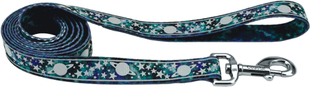 *COASTAL LazerBrite Patterned Leash 5/8 x 6' Galaxy