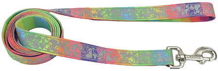 *COASTAL LazerBrite Patterned Leash 5/8 x 6' Rainbow Hearts