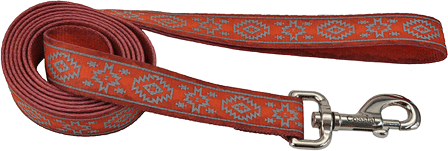 *COASTAL LazerBrite Patterned Leash 5/8 x 6' Orange Aztec