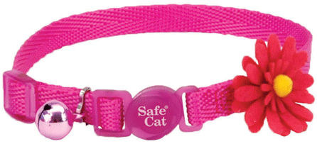 COASTAL Safe Cat Embellished Fashion Collar 3/8" x 8-12" Pink