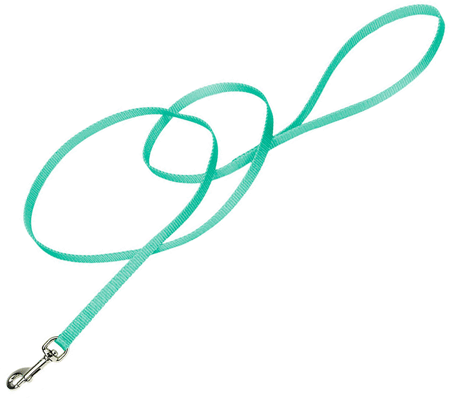 COASTAL Nylon Lead 4' x 3/8in Teal