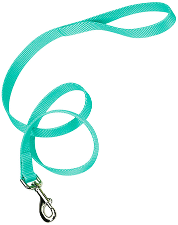 COASTAL Nylon Lead 4' x 3/4in Teal