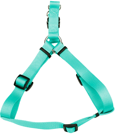 COASTAL Comfort Wrap Harness 3/4 x 20-30 Teal