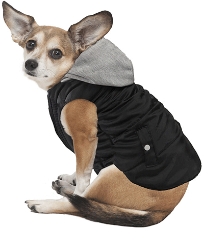 *FASHION PET Sporty Puffer Reversible Black M