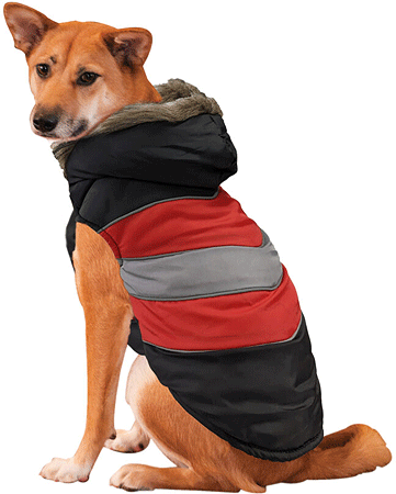 *FASHION PET Diagonal Stripe Puffy Coat Red L