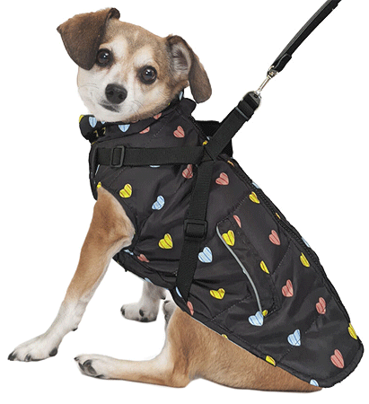 *FASHION PET Puffy Heart Harness Coat Black S