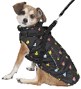 *FASHION PET Puffy Heart Harness Coat Black S