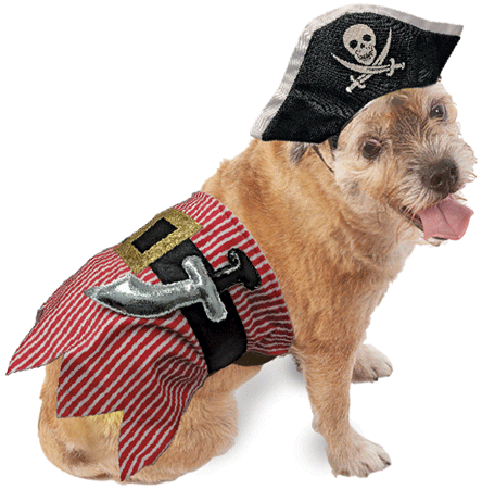 *FASHION PET Halloween Costume Pirate XS/S