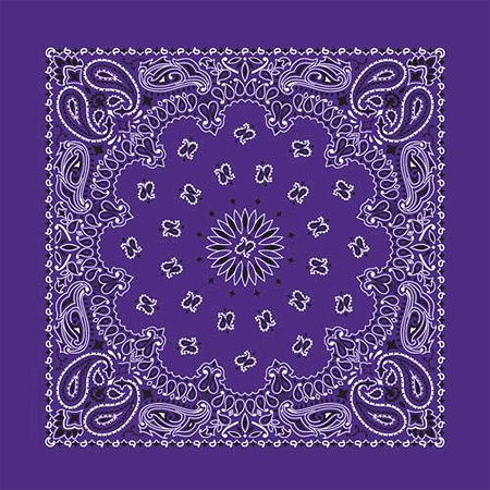 BANDANNA Paisley Purple 12pk