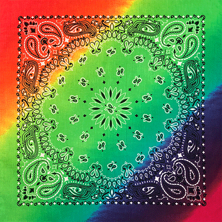 BANDANNA Paisley Rainbow 12pk