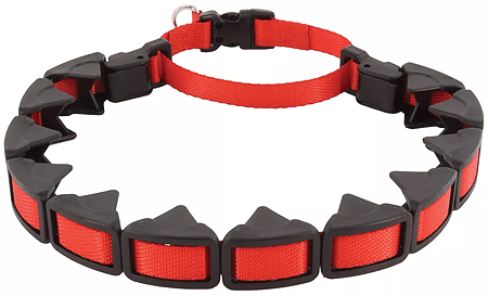 *COASTAL Natural Control Training Collar Large Red