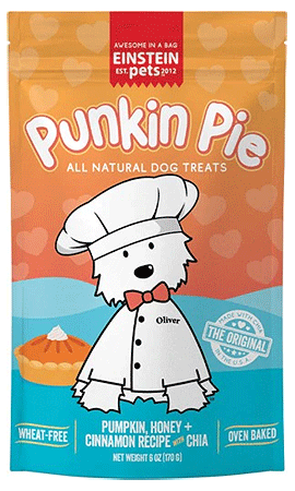 EINSTEIN Everydays: Punkin Pie 6oz