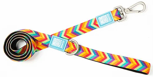 *MAX&MOLLY Classic Neoprene Leash Summertime M 7/8" x 4'