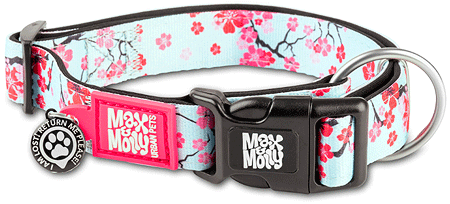 *MAX&MOLLY Smart ID Dog Collar Cherry Bloom S 11-18"