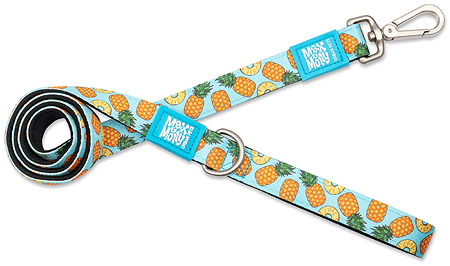 *MAX&MOLLY Classic Neoprene Leash Sweet Pineapple XS 3/8" x 4ft